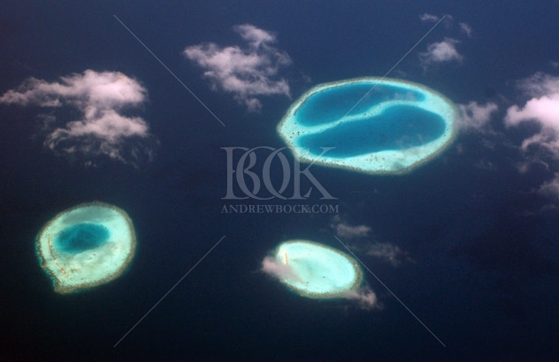 Copyright Andrew Bock. All rights protected.